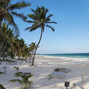 The Beach Tulum