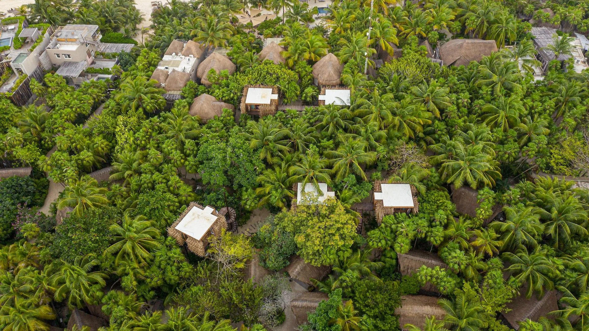 ****  Nomade Tulum Otel Meksika